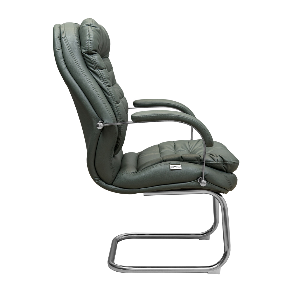 Крісло Валенсія СФ Хром П1 Палаззо Мосс (6)